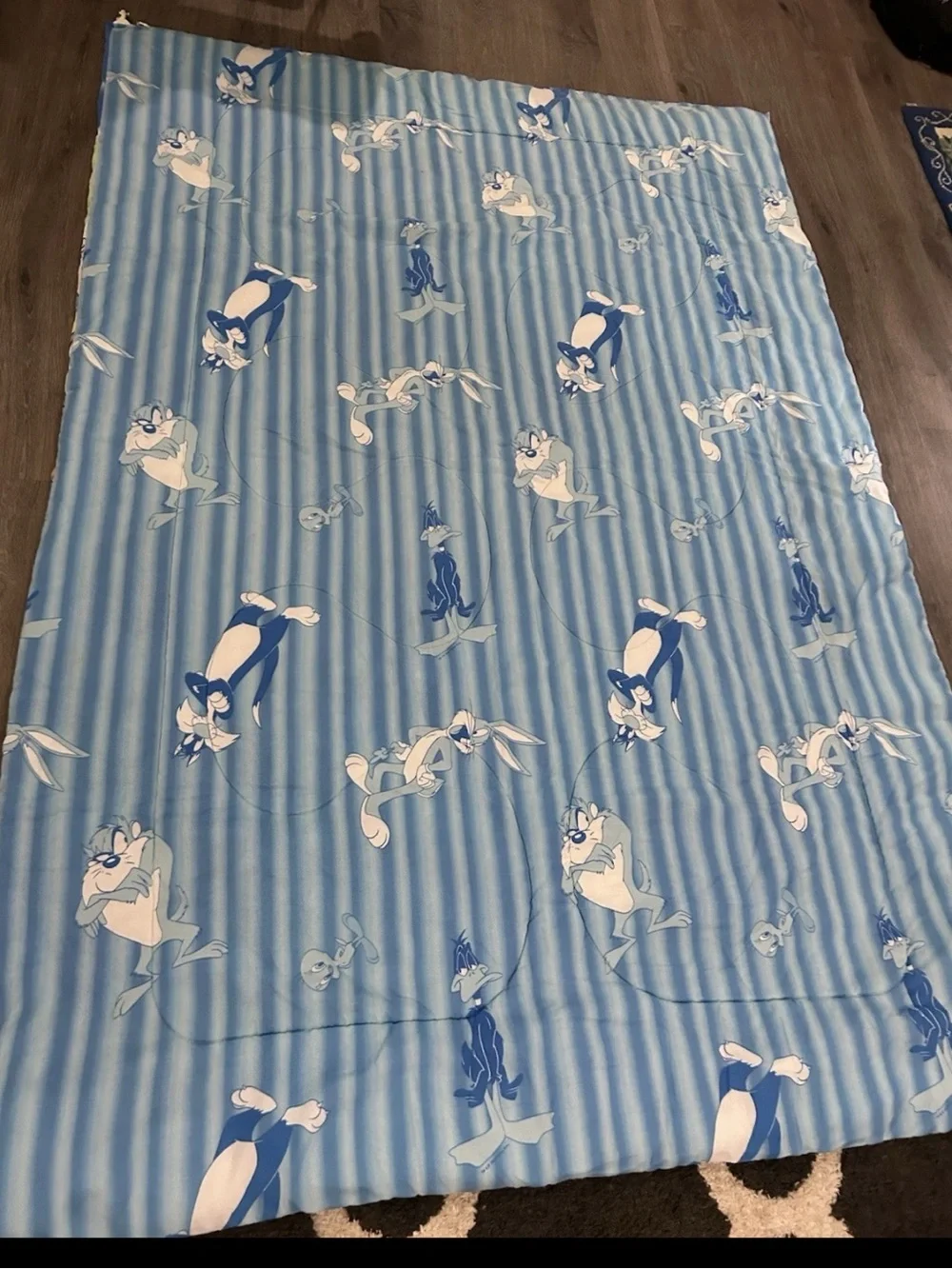 Vintage Warner Bros Looney Tunes Bedspread Twin Bugs Taz Sylvester Tweety Daffy